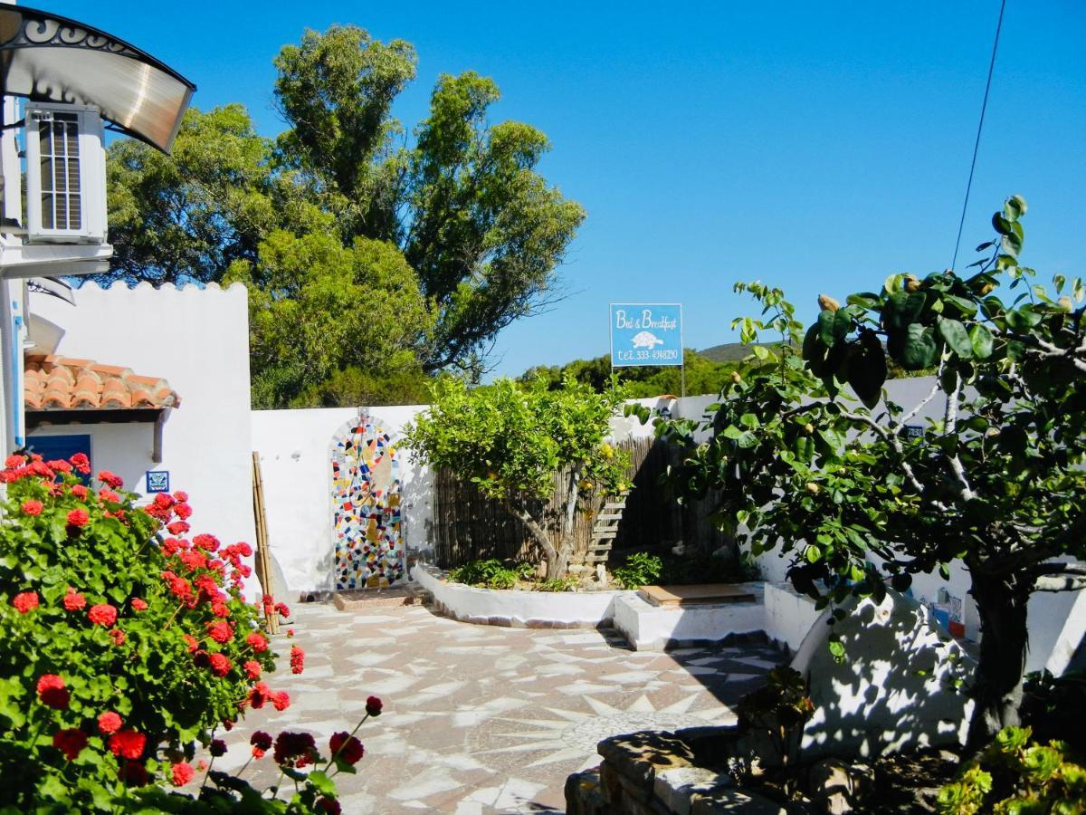 Alba B&B Carloforte  Extérieur photo